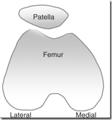 patellfemoral joint